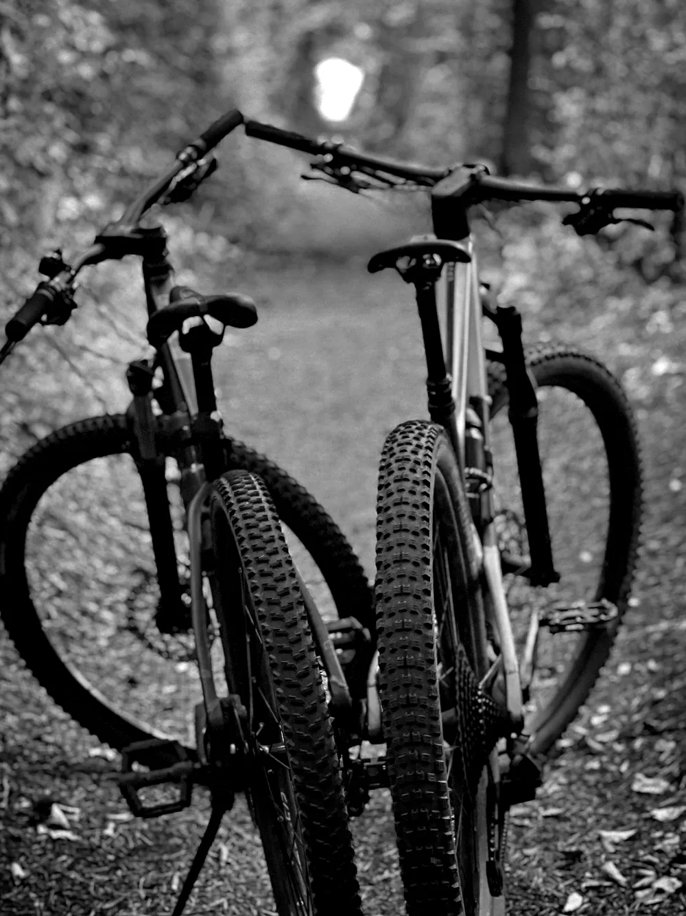 Two mountain bikes standing on a wooded trail, black and white.