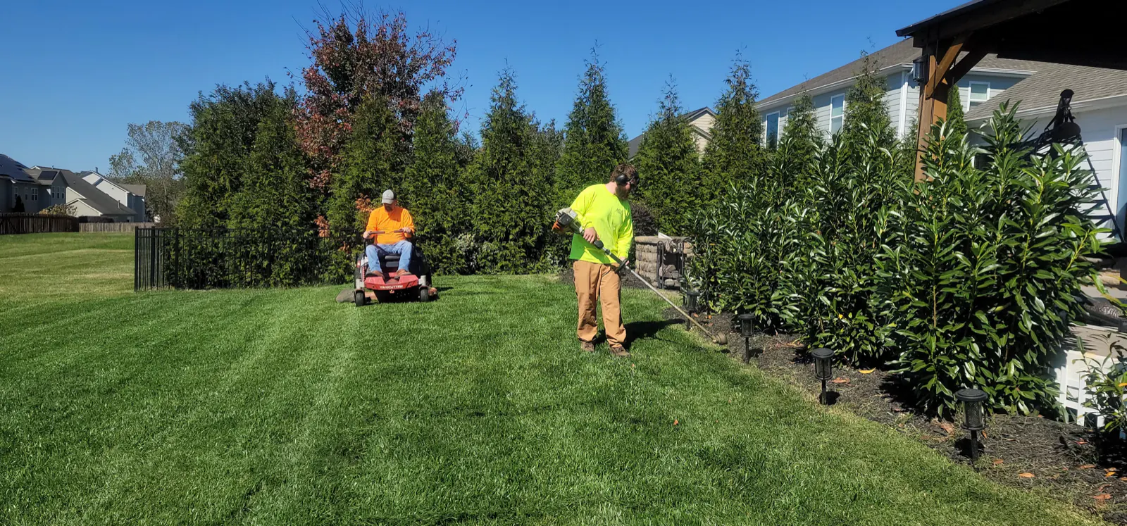 Two-person crew working a back lawn: one on a rider mower cutting stripes, one string-trimming along a hedge of arborvitae.